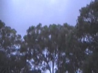 AVION télécommandé