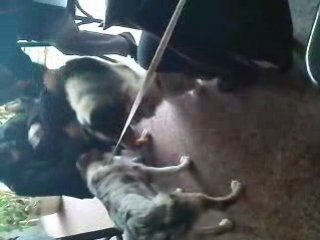 Rencontre de Styx avec Dragon et Dalton (decembre 2008)