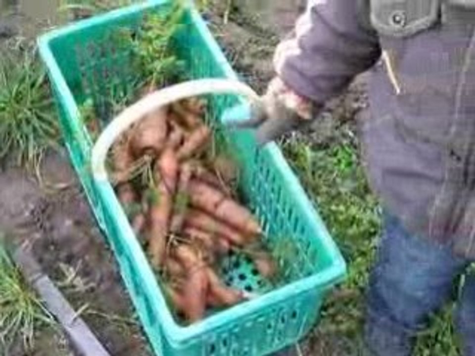 Au potager Chez Papi Martial