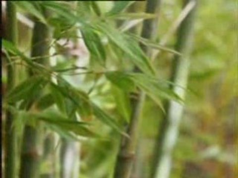 Лучшее детям