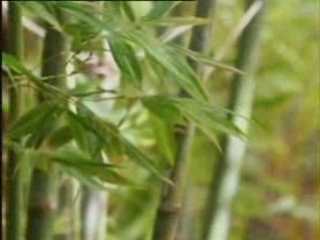 Лучшее детям