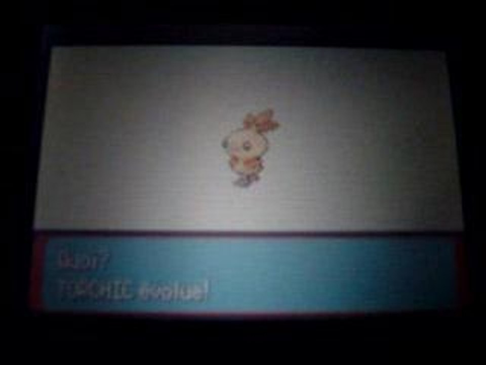 Evolution de Poussifeu shiney