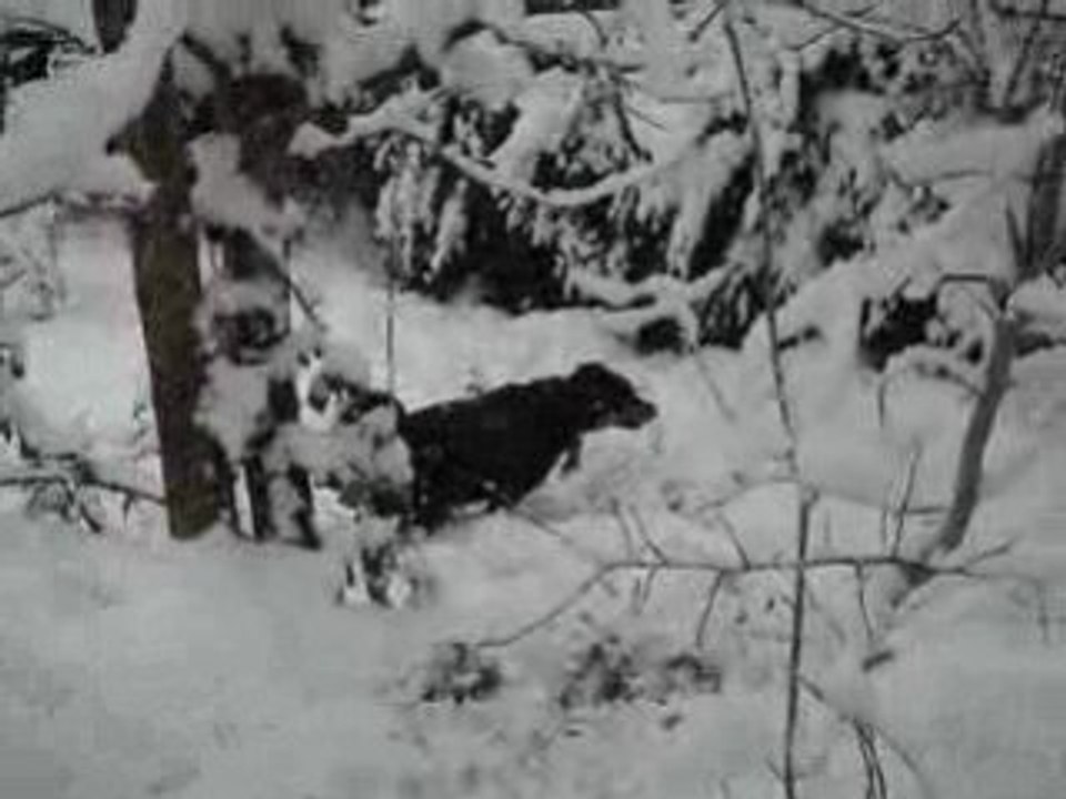 copain et la neige dec 2008