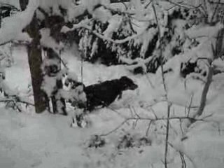 copain et la neige dec 2008