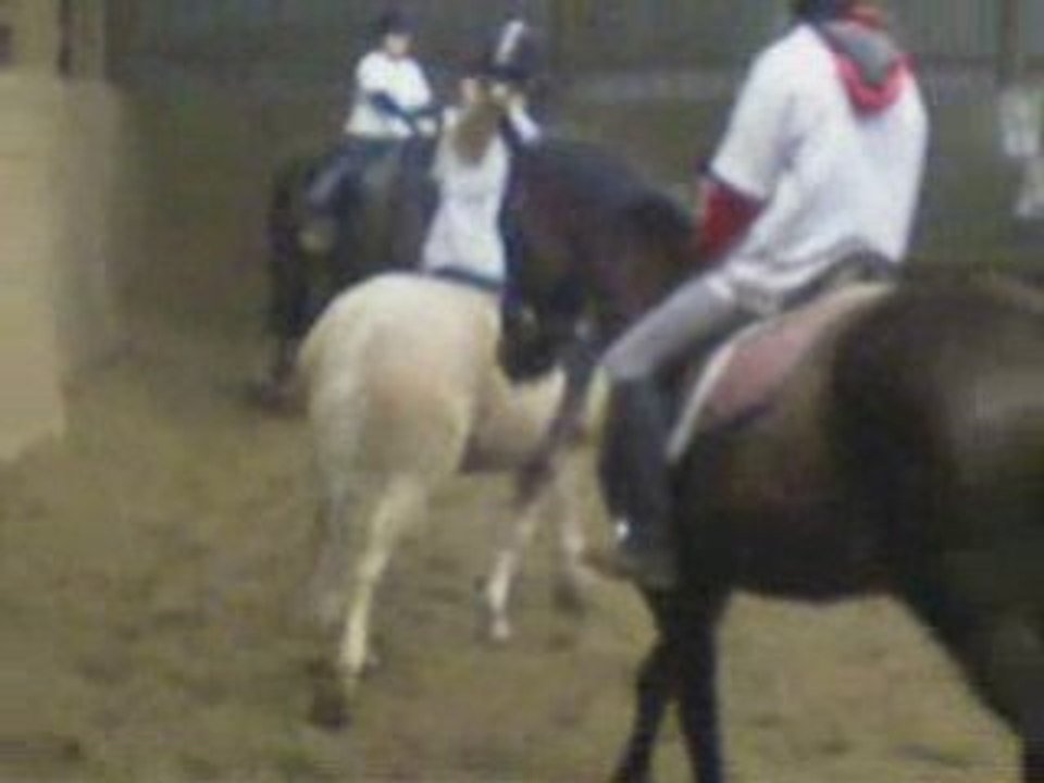 Carouselle 2008