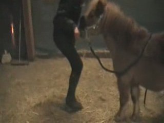 CEM. Abou, poney de cirque.