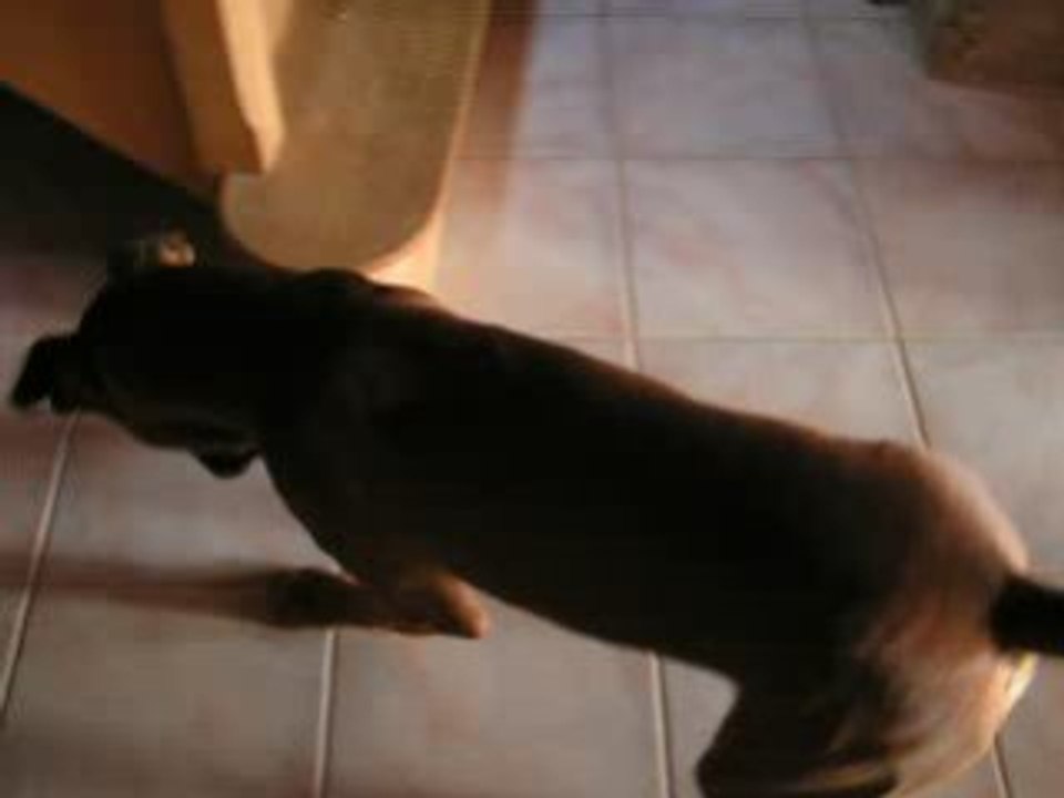 PICT2262