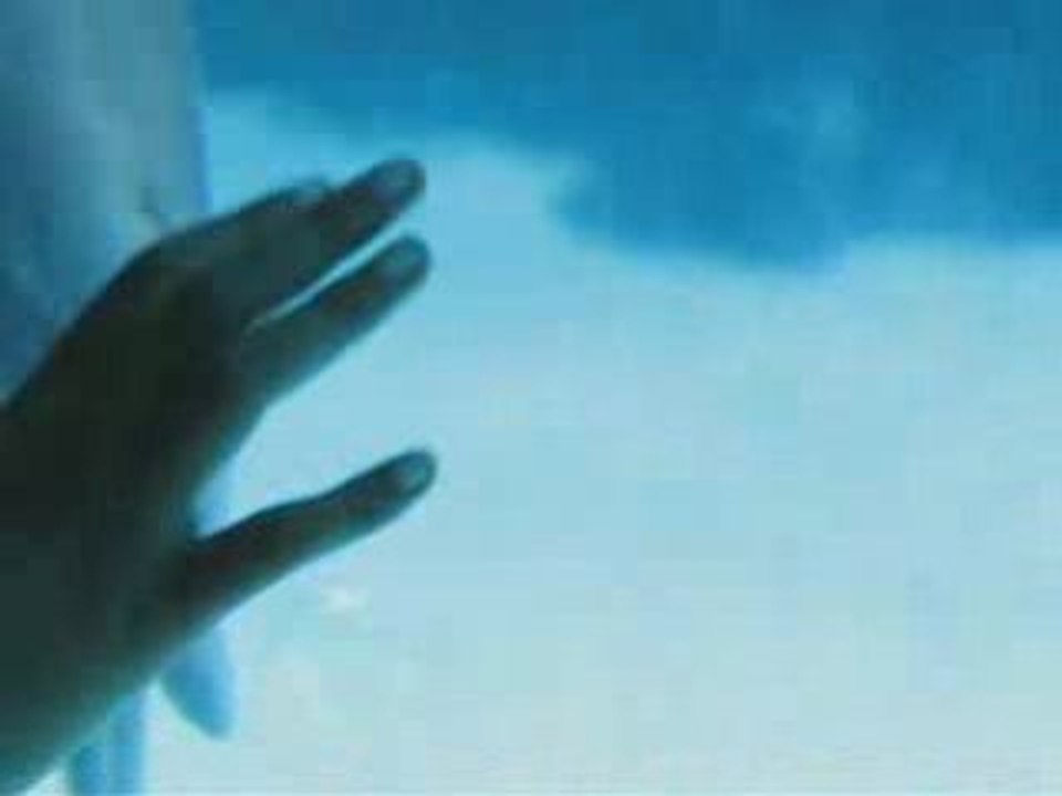 Dauphins qui fait des bulles