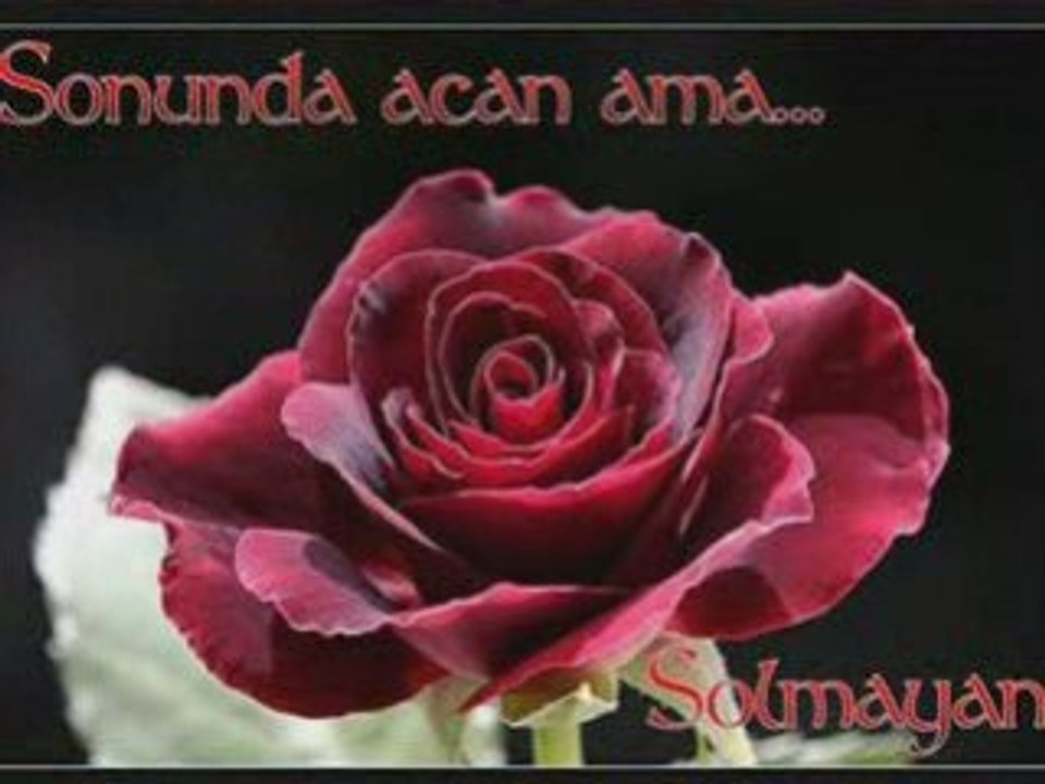 SERKAN