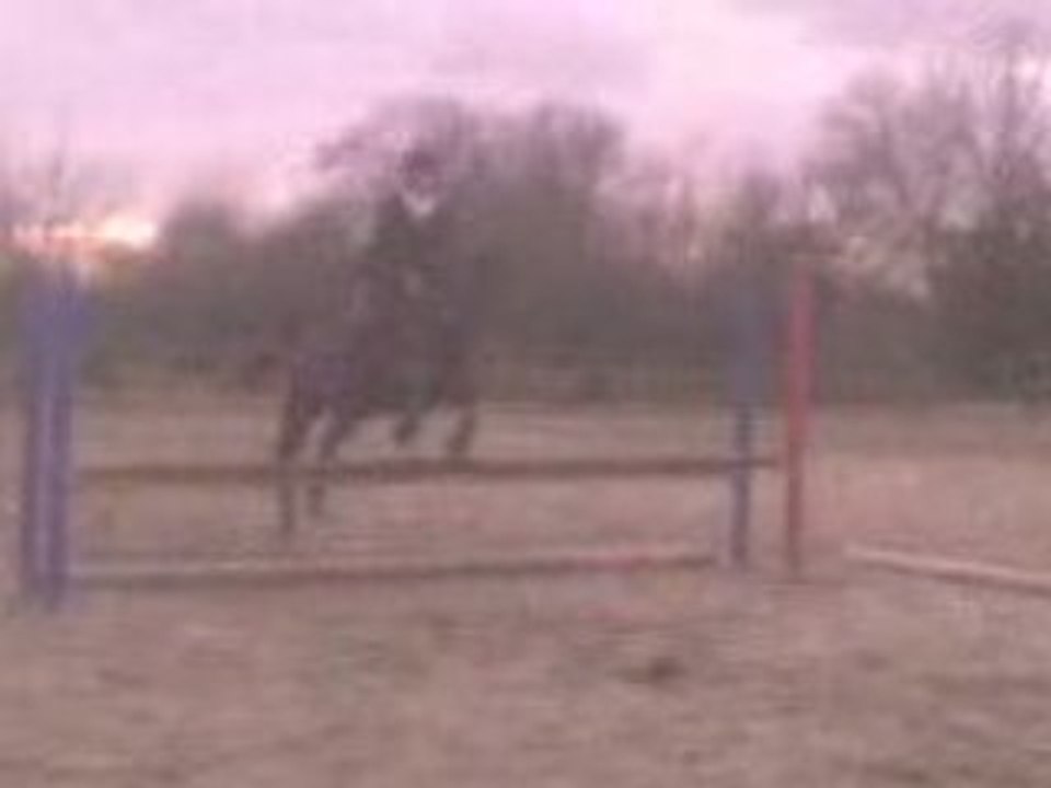 Séance de Saut Mercredi 17 Décembre 2008