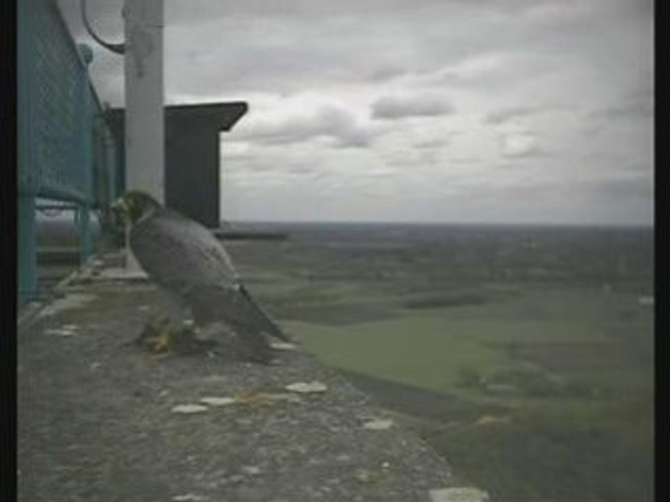 You are... 30 april 2008