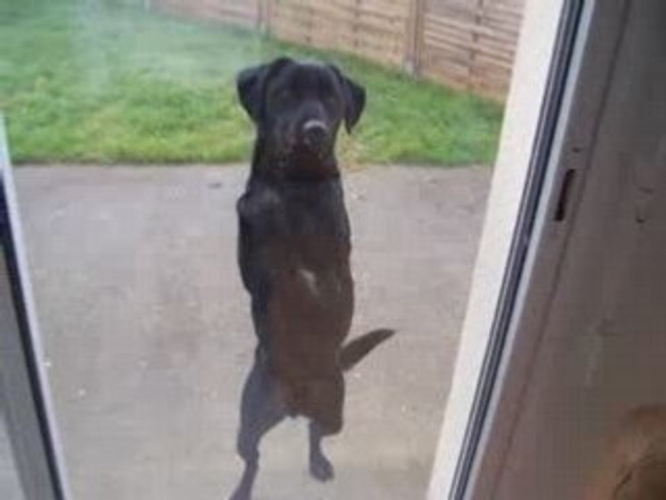 Le week end de ouf part-56 Tchong le chien 14-1...
