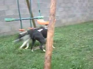 CLIP0028