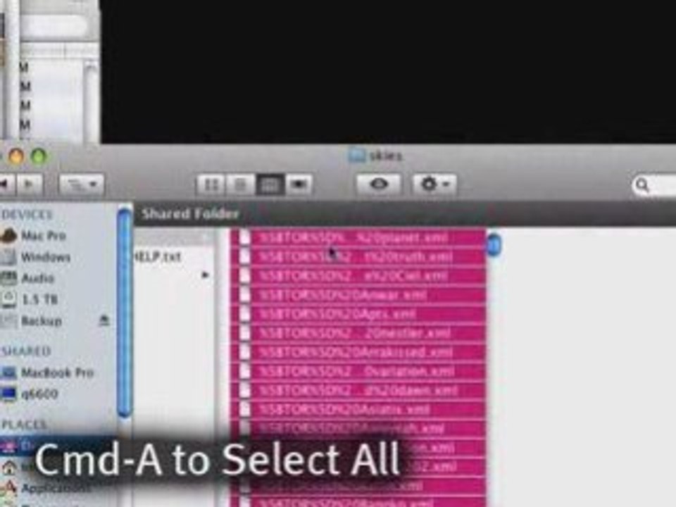 Install Torley's WindLight Settings on your Mac