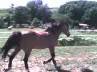 Souvenirs ... cet été !