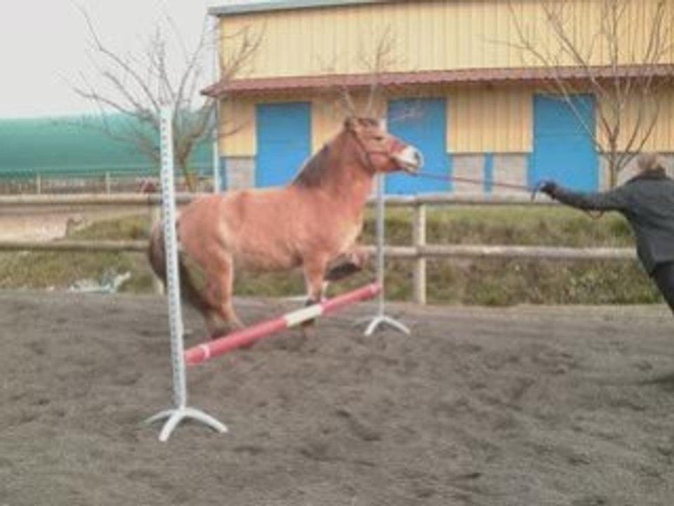 Malice ses premier en libeter