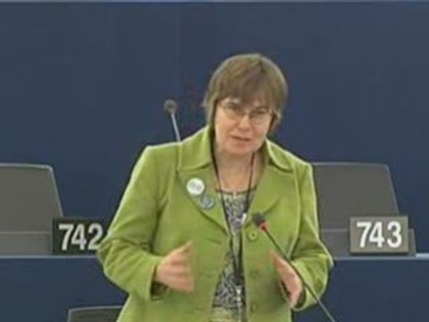 Anne E. Jensen on Draft general budget 2009