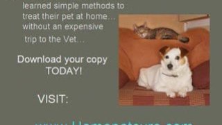 Montgomery AL Pet Meds-Treat your Pet at Home!