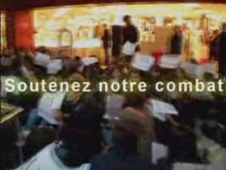 L'iut de montpellier au polygone