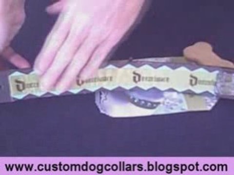 [CUSTOM LEATHER DOG COLLAR] Custom leather dog collar