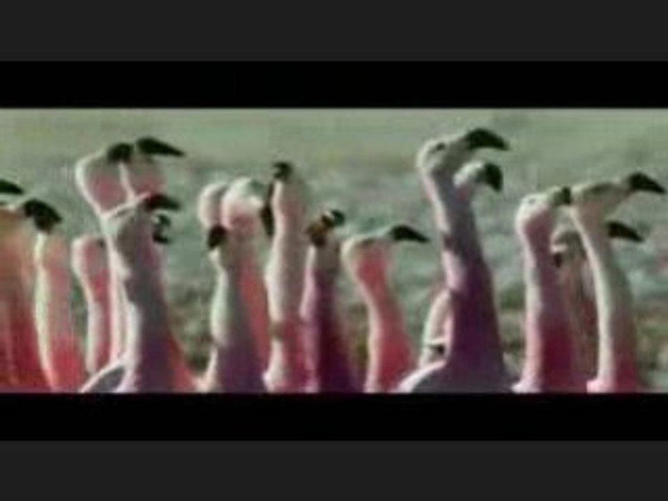 Planet Earth 4 ever!  Planeta Tierra Para Siempre !