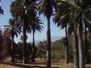 Las Palmas de Ocoa