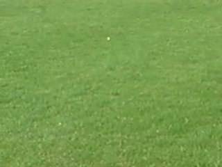 SR Colmar El mounaoui Ilyas