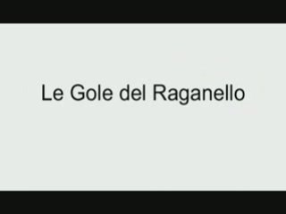 GOLE DEL RAGANELLO