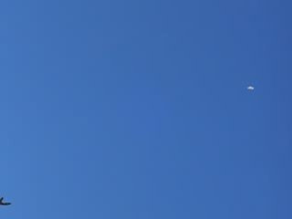 saya ( kelebek ) tolgahan