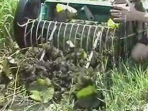 LAKE RAKE and POND RAKE for aquatic weeds or muck