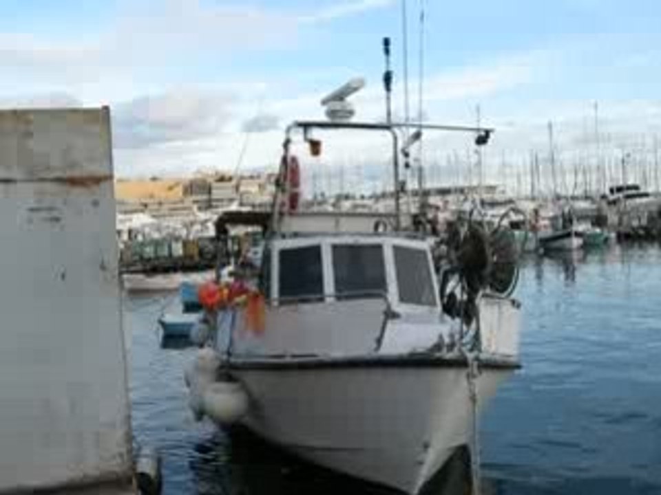 cannes 2008