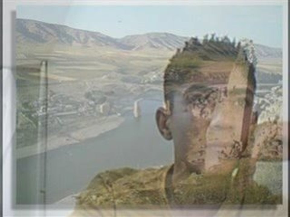 Aslı güngör- yarim yarim