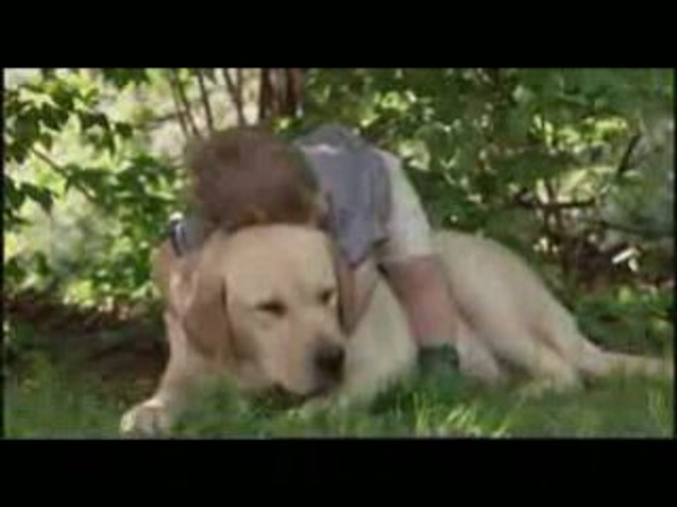 DOG AND BOY