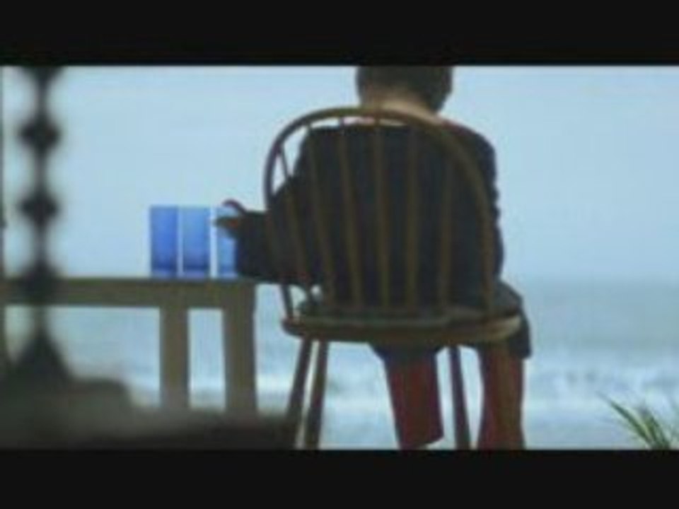 pub Mylan 2008