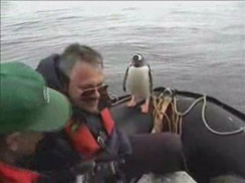 Happy_Penguin!