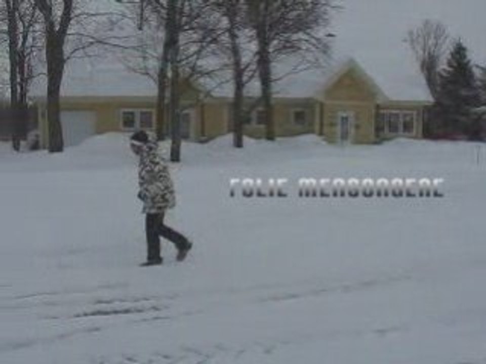 Folie mensongère