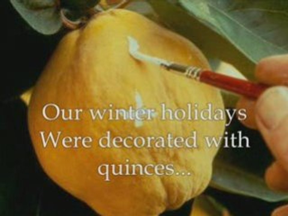 Colindul gutuii din geam  "The carol of the quince in window