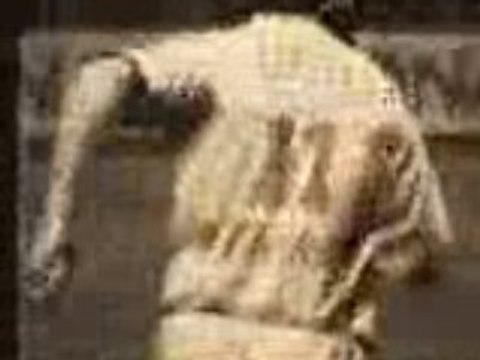 Frappe govou pes 2009