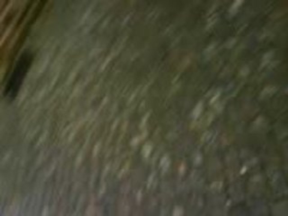 MOV00612