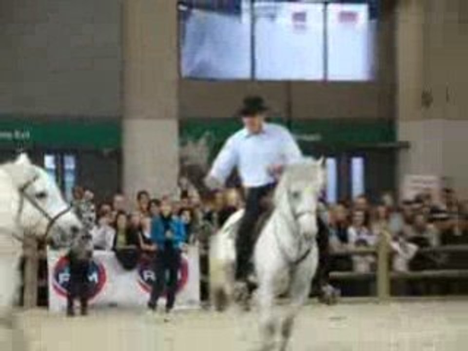 salon du cheval
