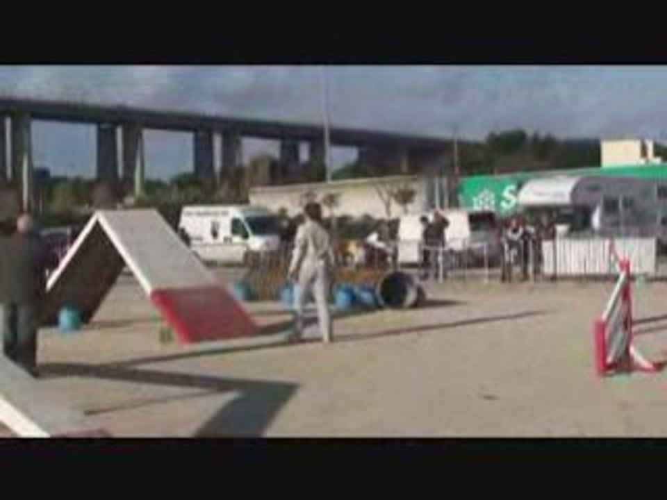 brooklyn  1er degres martigues 2008