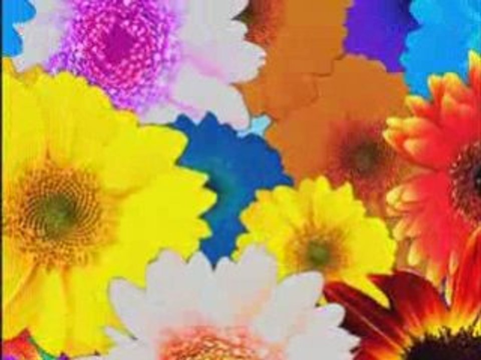 Kilari  - Happy (Anime Ver)