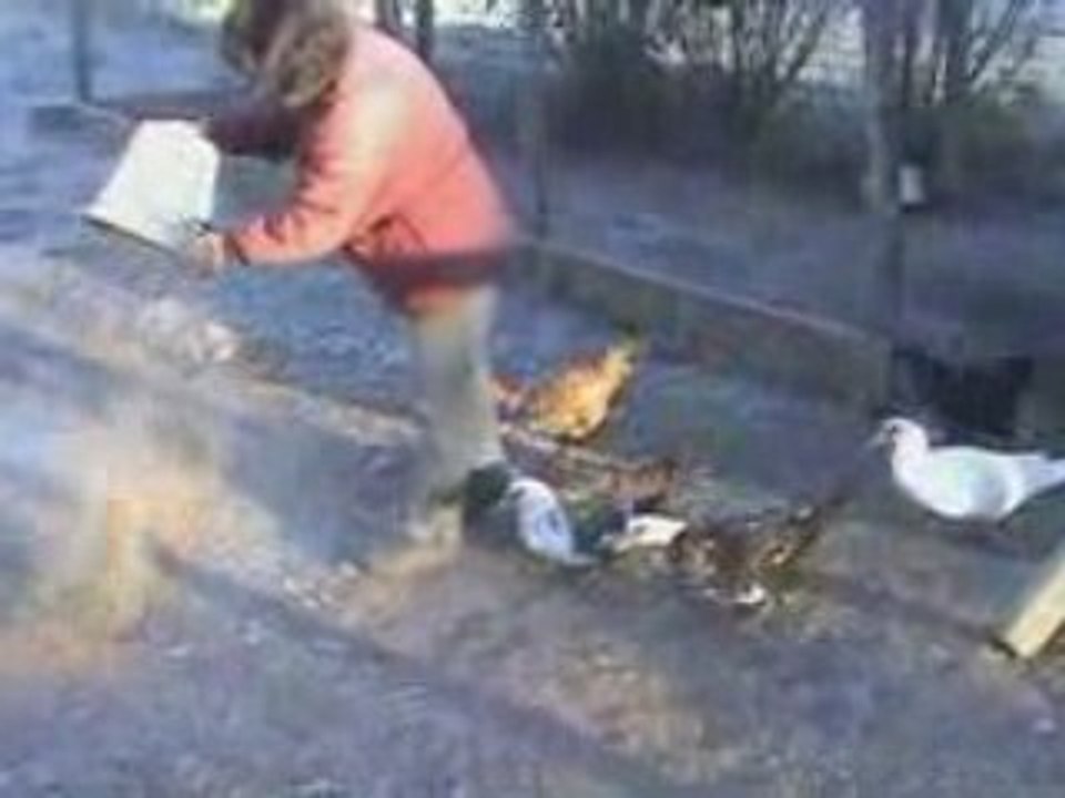 Notre ferme pédagogique -Travaux d'hiver