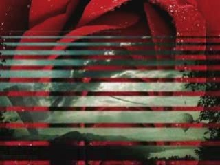 Oд овој ден- Владо Јаневски