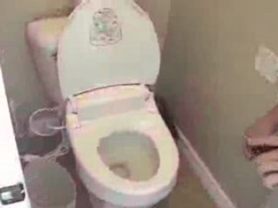 my-toilet-seat.avi