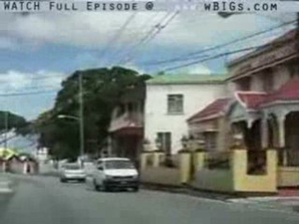 BBC Horizon - Allergy Planet - Dec 19, 2008 - Friday