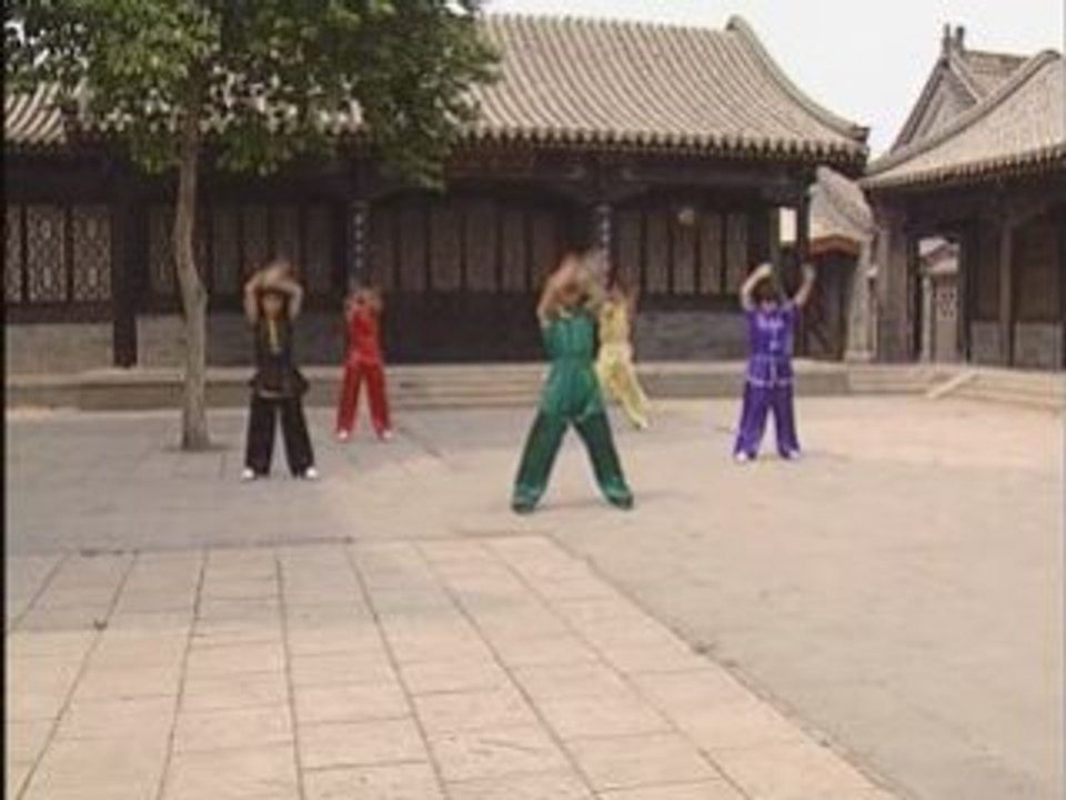 ChangQuan - Niv 1 Taolu  Wu Bin