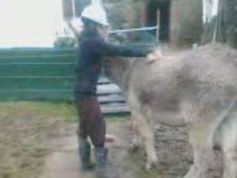Sanson_1