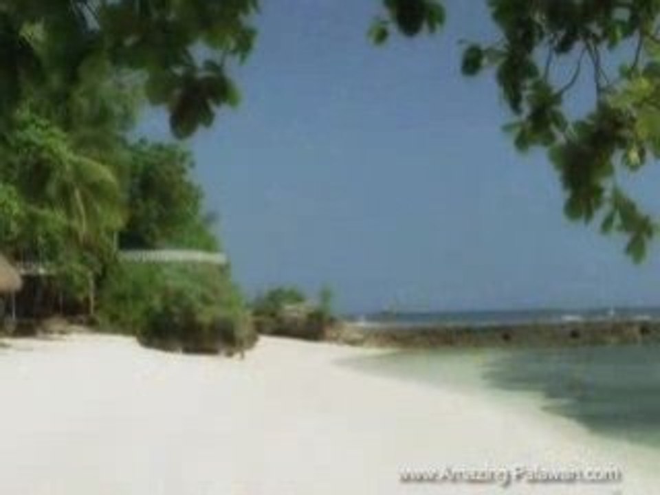 Amazing_Palawan_081216