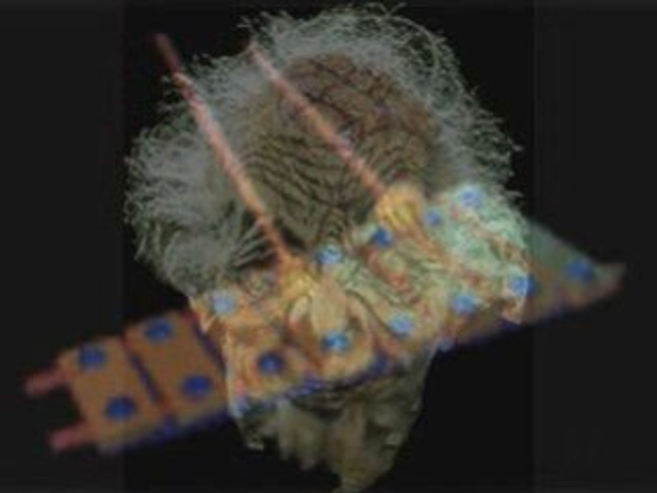 Mac sample-house imspector